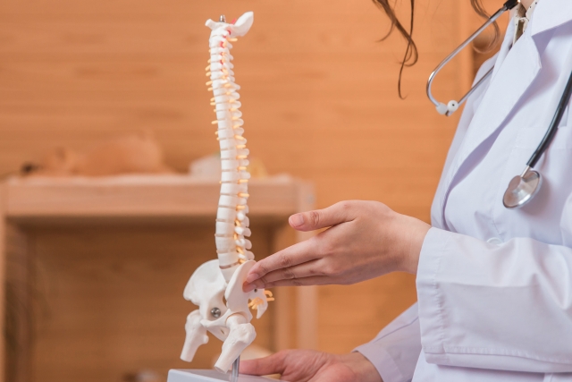 【さいたま市×整形外科・リハ科】週3日～OK！時短勤務もご相談可！将来的に管理医師を目指したい先生歓迎します♪